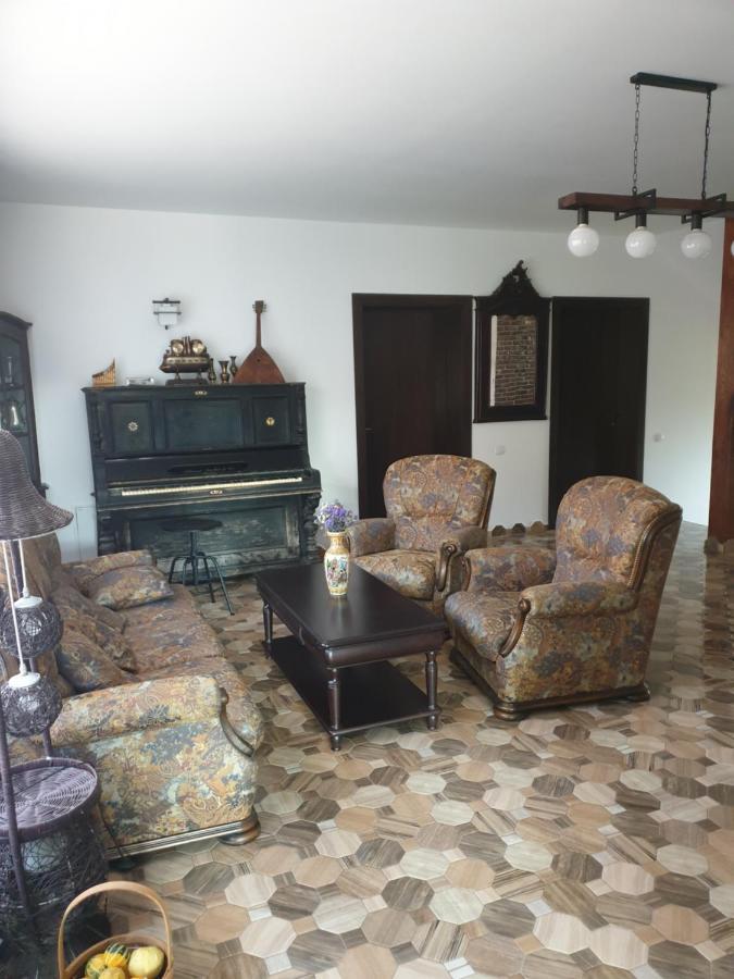 Casa Danei Hotel Brasov Bagian luar foto