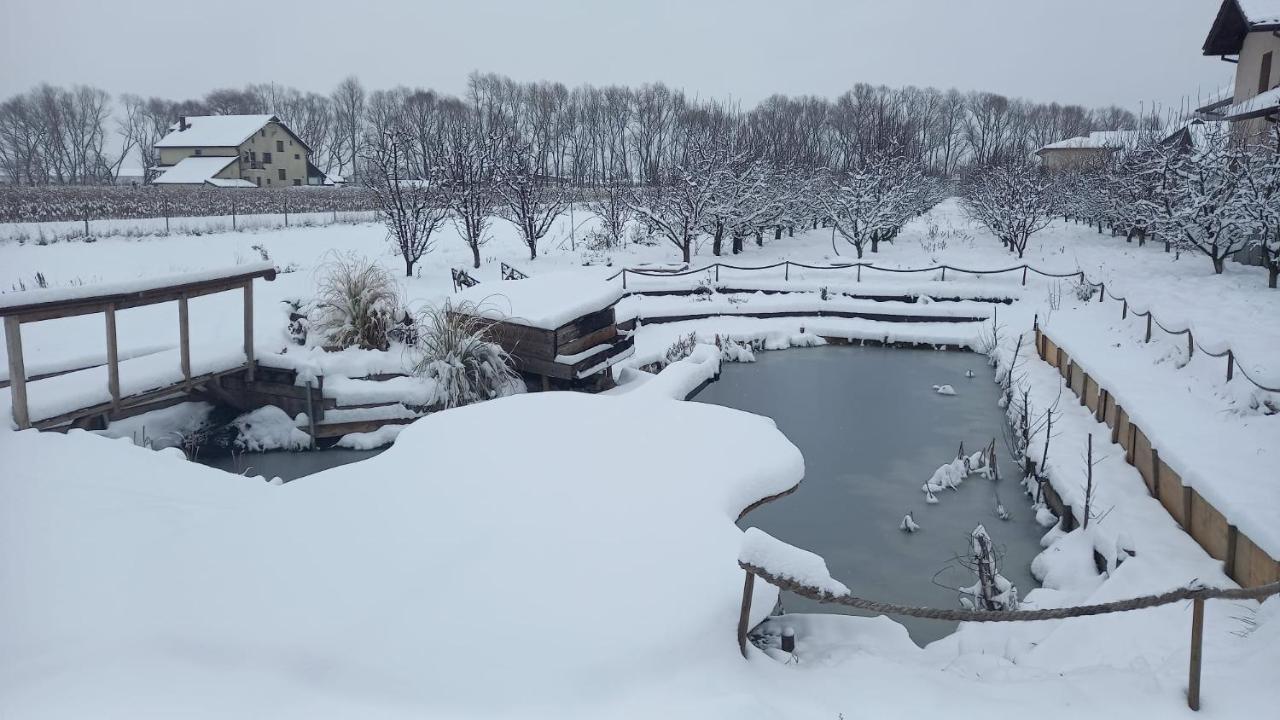 Casa Danei Hotel Brasov Bagian luar foto