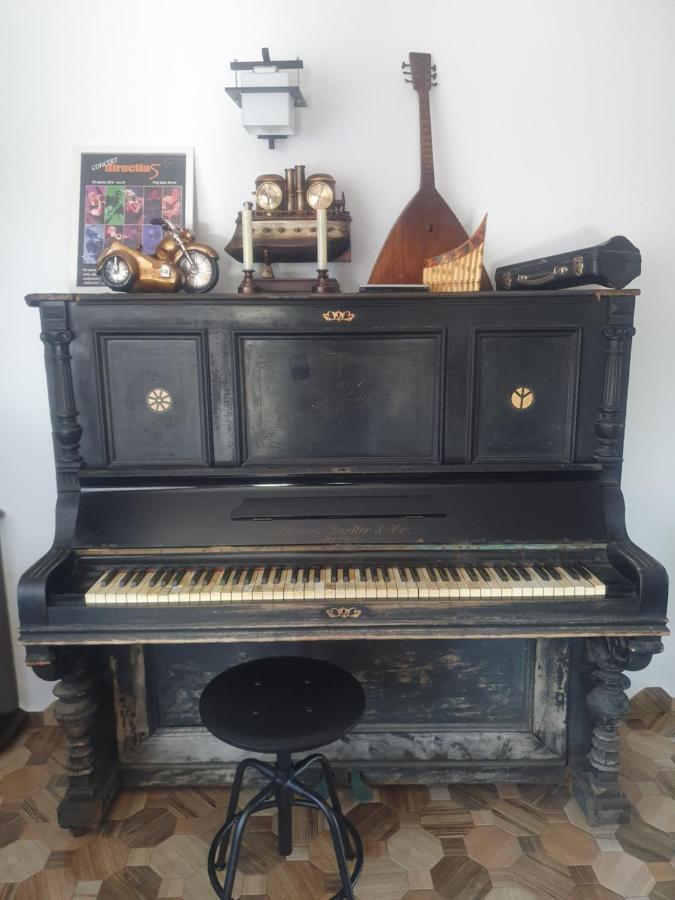 Casa Danei Hotel Brasov Bagian luar foto